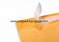 Douane Gedrukte Kraftpapier-Document Envelop met Knoop en Koordsluiting