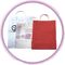 Harde Plastic het Handvatzak van de douane Witte/Rode Kleine Gift met Kleurrijke Druk