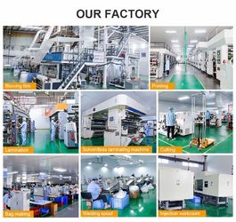 China DONGGUAN SEALAND PACKAGING BAG CO., LTD fabriek