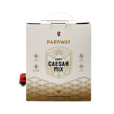 Aangepaste 1L 1,5L 2 liter 3L 5L 96OZ BIB ZAK Wegwerpzak in Doos TheeSap Koffie To Go Papieren Doos Verpakking met Dispenser