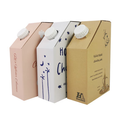 Plastic slabbetje tas in doos 1L Hot Coffee Box Liquid Packaging