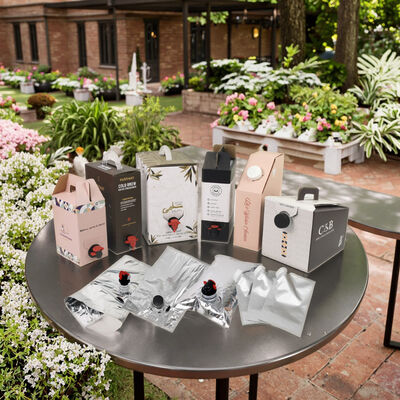 Op maat gemaakte BIB-zakken in doos met kraantje, ideaal voor het verpakken van wijn, sap, olie en andere vloeibare producten